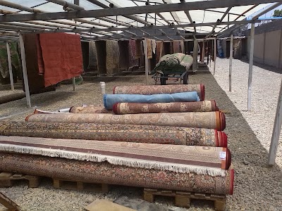 Photos of قالی شویی کوروش