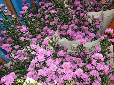 Photos of Grosir Bunga Potong