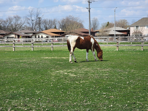 50 Acre Park Dog Park - Thumbnail