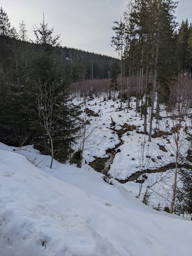 Kropfbachweiher - Visual