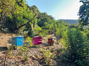 Photo n°12 de Gîte La Fontchaude Cabrespine à Cabrespine (Maison de campagne)
