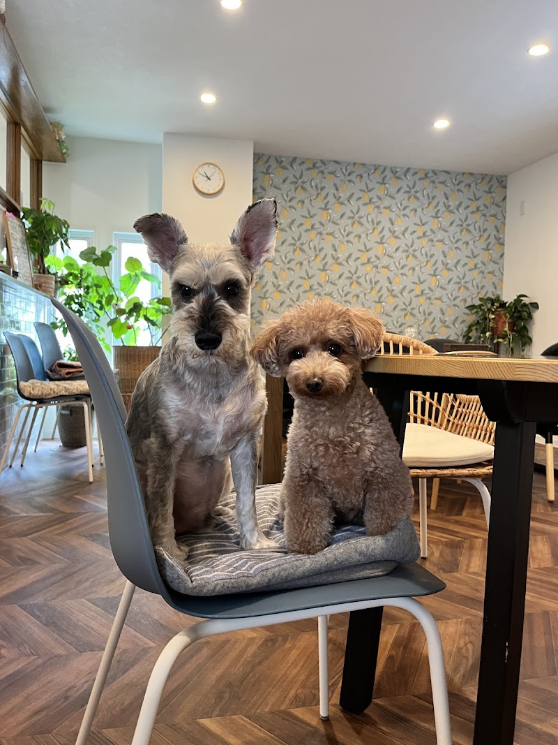 caffè VERO with the dog (ドッグカフェ)