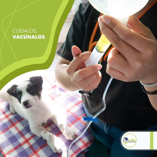 Clínica Veterinaria NaVet