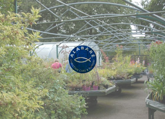 Alabare Old Sarum Garden Centre photo 2