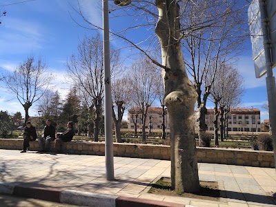 Photos of متنزه