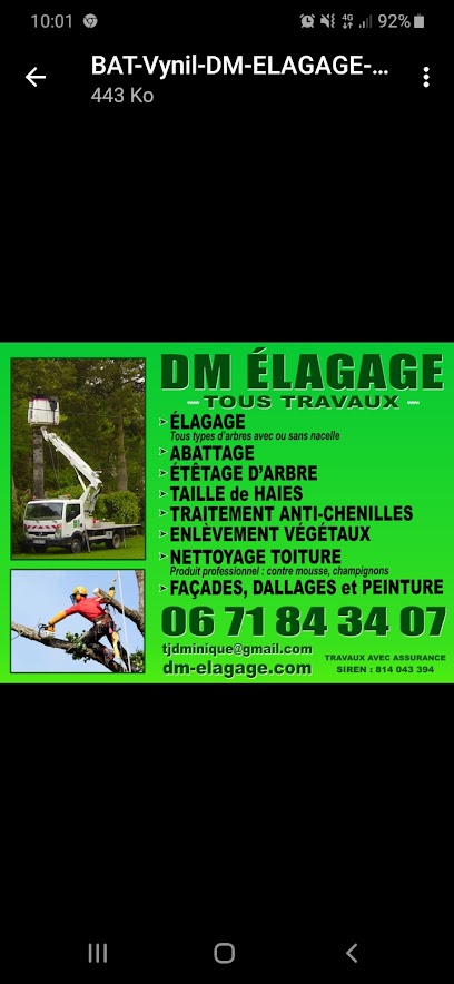 Dm Elagage