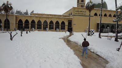 Photos of University Mosque
