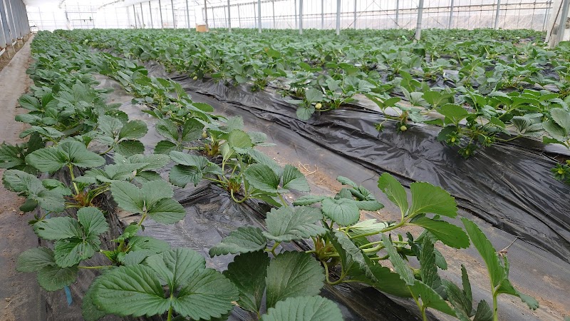 タナットネイチャーLab浅野南ハウス