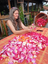 Photo n°3 de Le Bouchet - Ferme agroécologique - Tisanes de plantes sauvages - Agneaux Bio - Farines Bio à Cherier (Ferme bio)