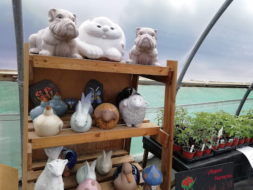 Ullapool Nurseries - Visual