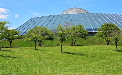 Photos of Adler Planetarium
