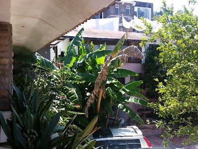 Photos of Hotel El Cipr&eacute;s