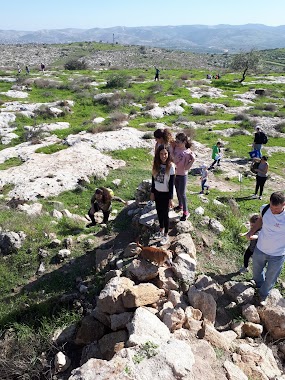 Modiin Bike park, Author: ניסן ניניו