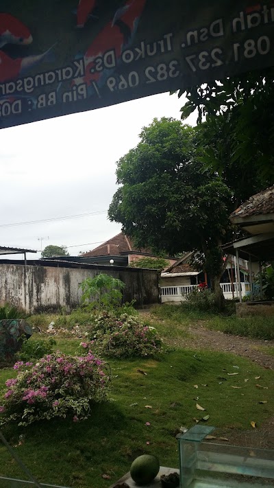 Photos of Toko Ikan Hias Truko Karangsari