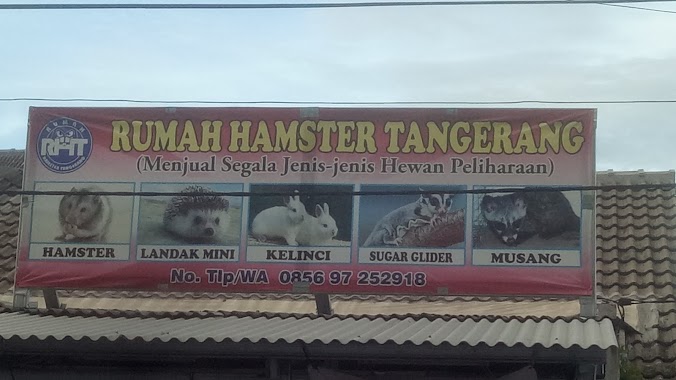 RUMAH HAMSTER TANGERANG, Author: RICHIE MTH