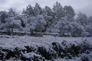 Photo n°16 de La Combe aux Abeilles à Bordezac (Miellerie)