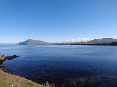 Photos of Selvik Cove