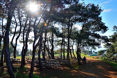 Mill Cape Nature Park