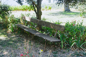 Photo n°17 de Maison Alméras | Vins d'exception à Puyméras (Cave à vins)