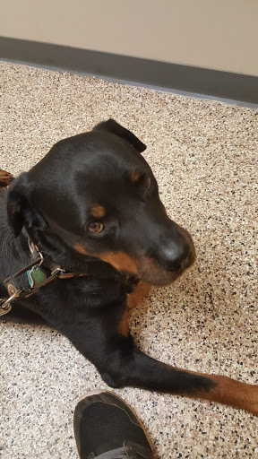 Scotts Creek Animal Hospital