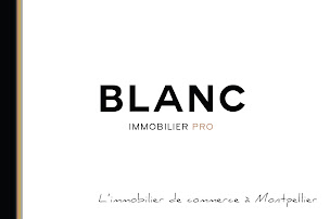Photo n°3 de Blanc Immobilier à Lattes (Agence immobilière)