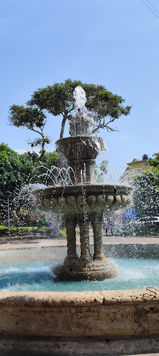 Moralete Garden - Thumbnail