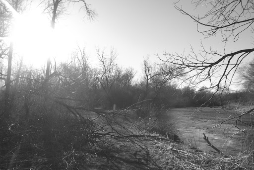 LIB Conservation Area - Visual