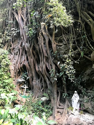 Photos of Finca El Pilar