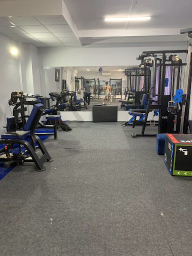 Không gian năng động của Mr.Wolf's Gym Quận 1
