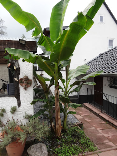 Mediterrano - Jörg Lück photo