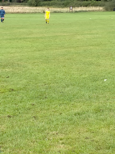 Park Fields - Visual