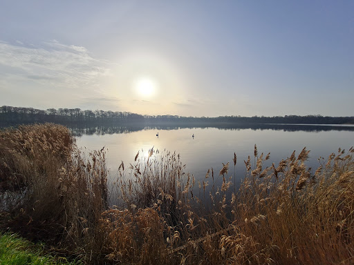 Étang de Bazouges - Visual