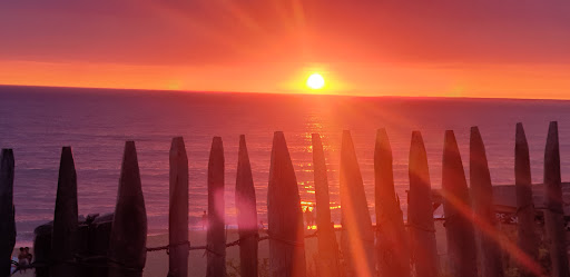 Bleu Marine Immobilier La Tranche sur mer - Thumbnail