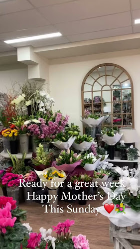 Reviews of Fleur by DK in Christchurch - Florist