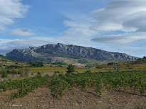 Site d'Escalade de Vingrau (Lloc d'escalada de Vingrau) à Vingrau