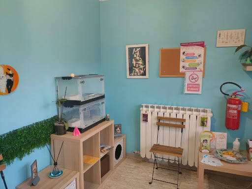 Ambulatorio Veterinario Colibrì - Thumbnail