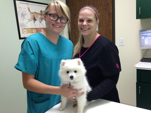 Porter Animal Hospital - Thumbnail