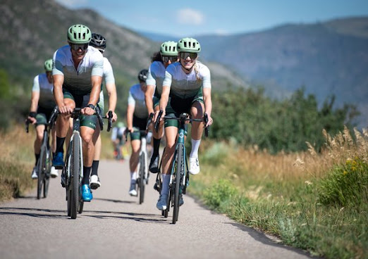 Aspen Collection by null