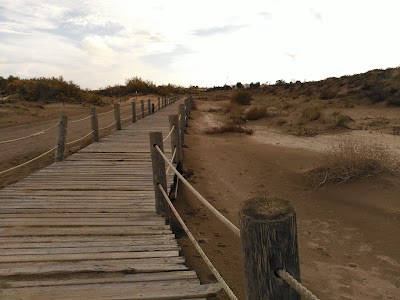 Photos of Apartamentos las Dunas