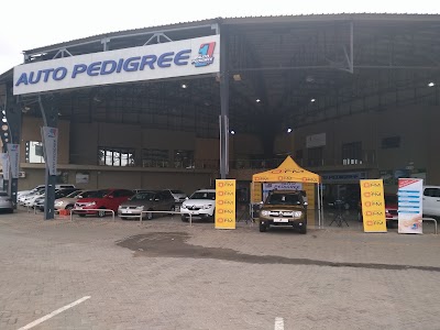 car-dealer