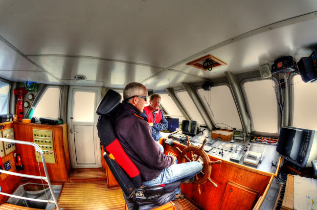 Comentarii opinii despre VEDETTES L'ANGELUS CROISIERES MARITIMES