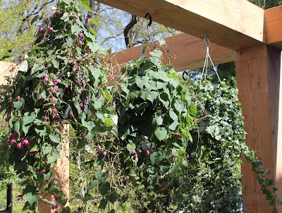 Photos of Orangerie 21