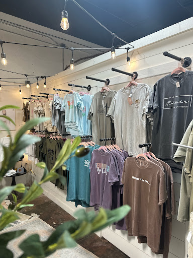 Salt + Light Design Co.