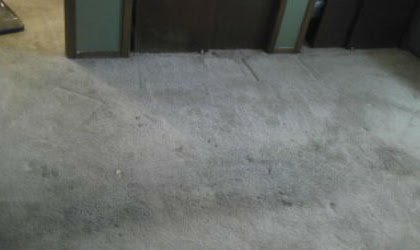 heavens best carpet cleaning lincoln ne