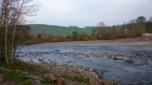 Philiphaugh Salmon Viewing Centre & Golden Eagle Eyrie Gallery - United Kingdom