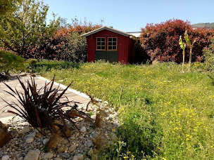 Photo n°3 de Aide Au Jardin à Montélimar (Paysagiste)