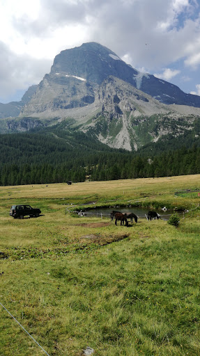 Azienda Agricola ZANOLA (Alpeggio Estivo) - Thumbnail