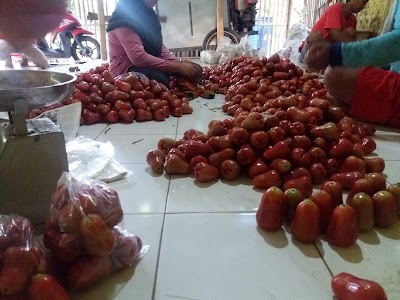 Photos of Kebun Buah Pemuda Tani Citra Mandiri