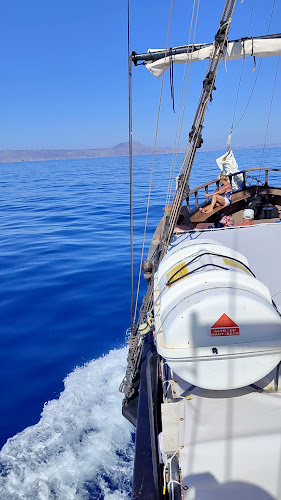 Dolphin Cruises