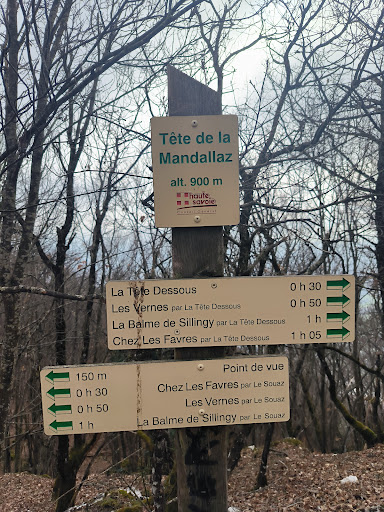 Tête de la Mandallaz Gallery - France